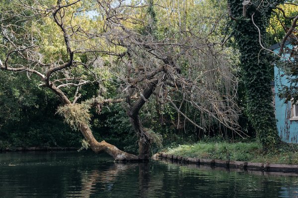 Explorez les bienfaits de l'hypnothérapie pour apaiser vos douleurs chroniques !